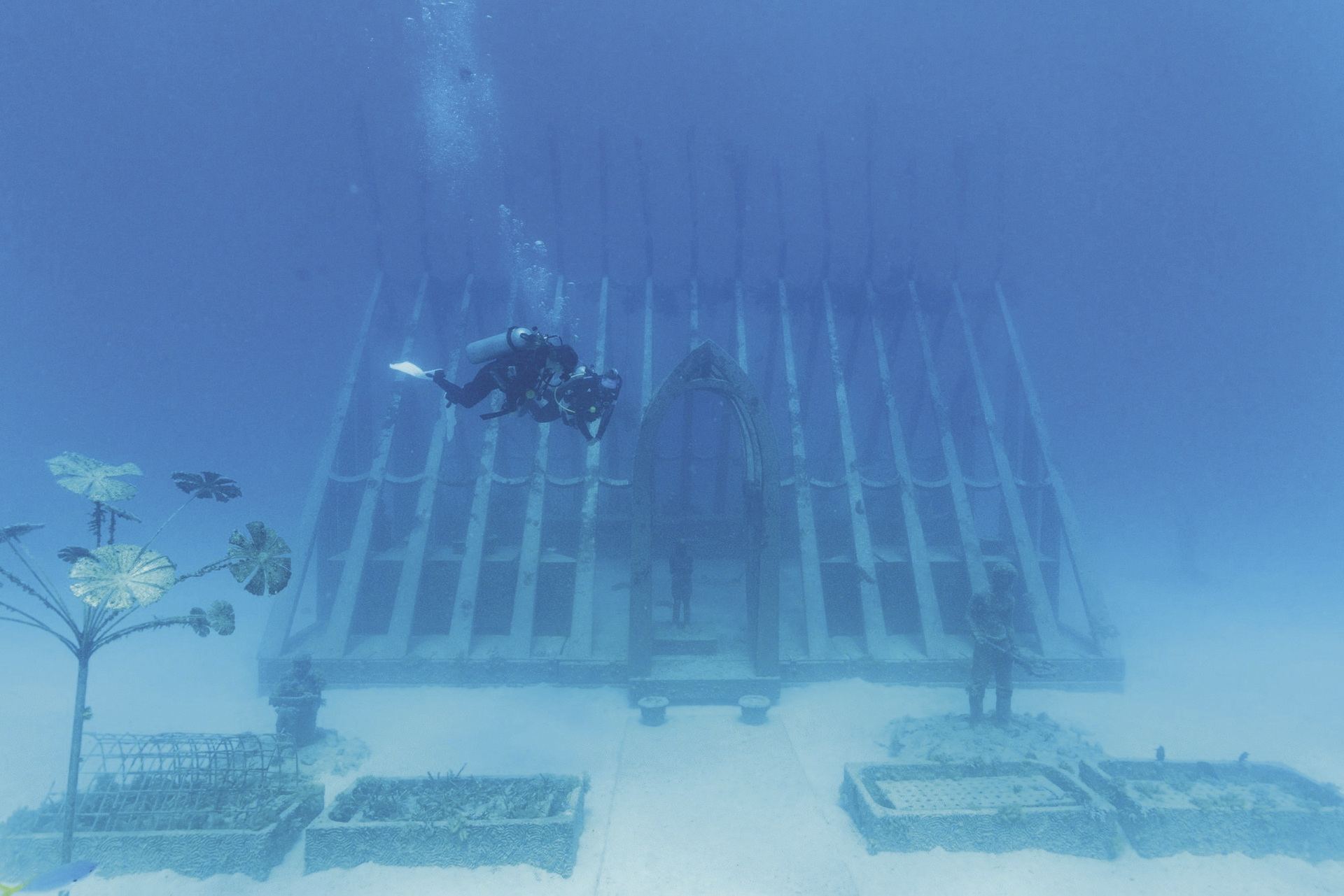 Great Barrier Reef und Museum für Unterwasserkunst