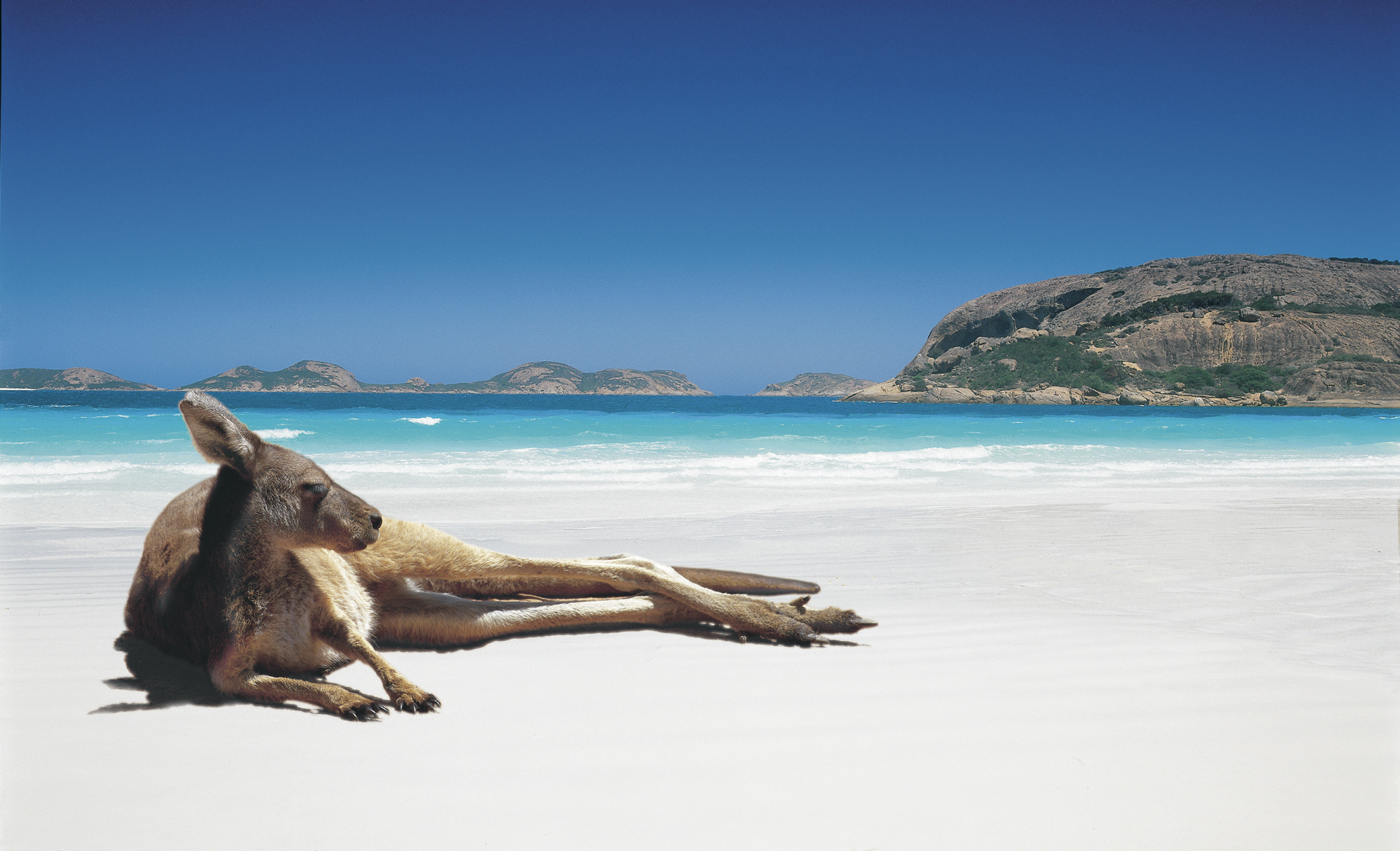 Lucky Bay, Cape Le Grand Nationalpark