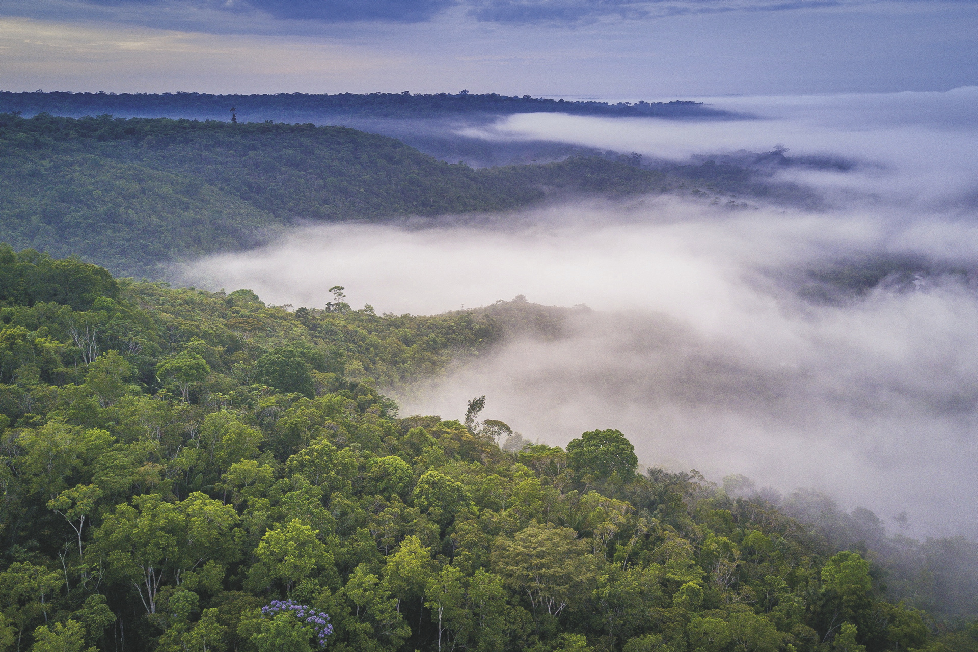 Naturparadise Brasiliens