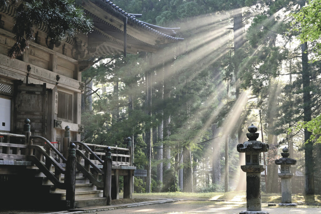 Fotoreise Japan – Zwischen Tradition und Moderne