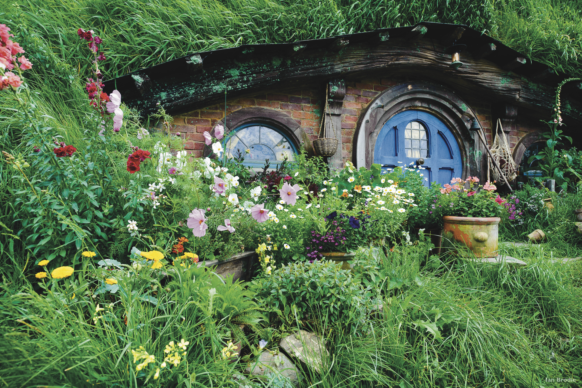 Hobbiton Movie Set