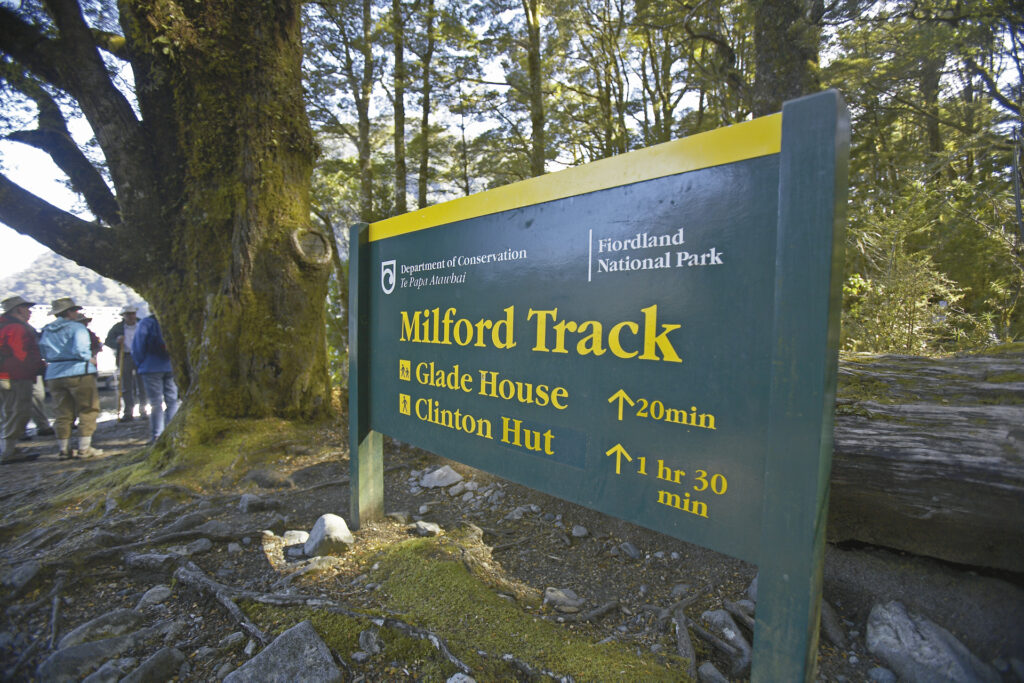 Milford Sound per Kajak entdecken